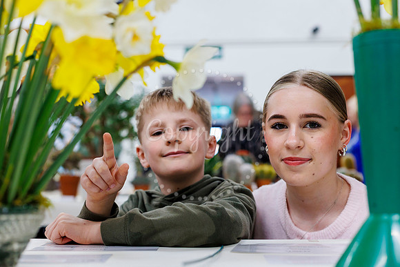 Diss and District Horticultural Society Spring Flower Show