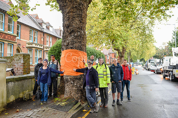 KG TREEPROTEST 121019