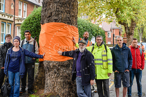 KG TREEPROTEST 121019