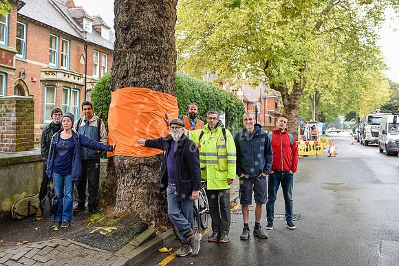 KG TREEPROTEST 121019