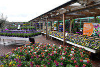 Official launch of new Downtown Garden Centre