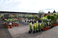 Official launch of new Downtown Garden Centre