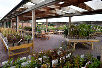 Official launch of new Downtown Garden Centre