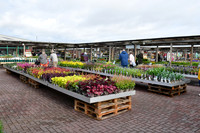 Official launch of new Downtown Garden Centre