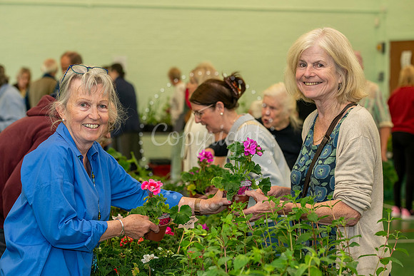NJ Ellesmere Centre, Stetchworth. Plant sale. Picture by Mark We