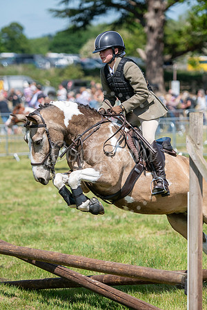 SPF Holbecks Park, Hadleigh, Suffolk186th Hadleigh Show. Pictur