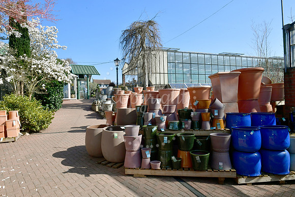 Reg Taylor's Garden Centre celebrating 80 years