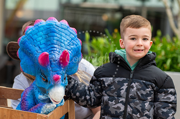 BFP arc Shopping Centre, Bury St EdmundsDino Eggstravaganza Eas