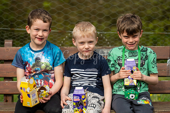 BFP Nowton ParkWest Suffolk Parks have organised an Easter Egg