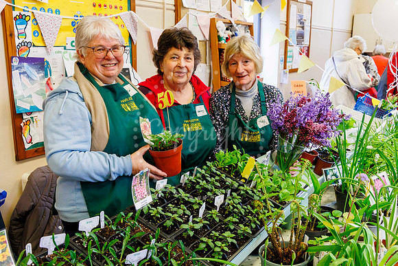 Harleston Country Market 50th birthday