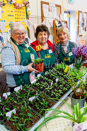 Harleston Country Market 50th birthday
