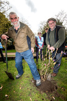 BFP Abbey Gardens, Angel Hill, Bury St EdmundsFriends of Abbey