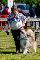 Dog Obedience Show at Stonham Barns