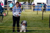 Dog Obedience Show at Stonham Barns