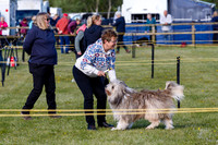 Week 17 - 24th April 2026