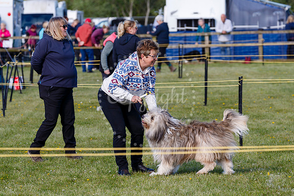 Dog Obedience Show at Stonham Barns