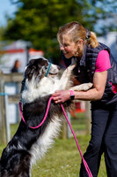 Dog Obedience Show at Stonham Barns