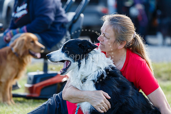 Dog Obedience Show at Stonham Barns