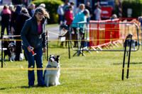 Dog Obedience Show at Stonham Barns