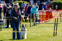 Dog Obedience Show at Stonham Barns