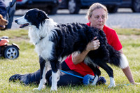 Dog Obedience Show at Stonham Barns