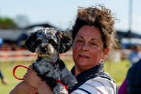 Dog Obedience Show at Stonham Barns