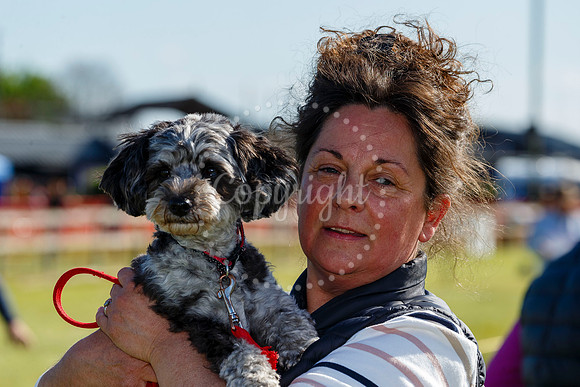 Dog Obedience Show at Stonham Barns