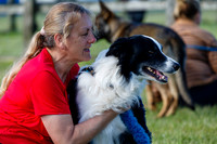Dog Obedience Show at Stonham Barns