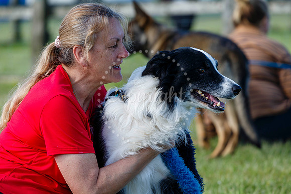 Dog Obedience Show at Stonham Barns