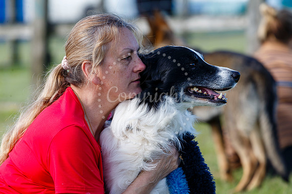 Dog Obedience Show at Stonham Barns