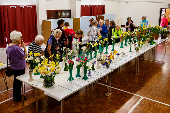 Diss and District Horticultural Society Spring Flower Show