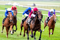NJ Betway Craven Stakes (Group 3) (Colts & Geldings)6. OxagonW
