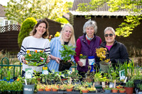 NJ Duck Pond, Ducks Lane, ExningPlant sale to raise funds for N
