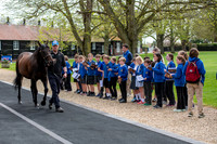Under Starters Orders Godolphin Beacon Project Racing To School.