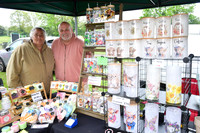 May Day event at Wyndham Park
