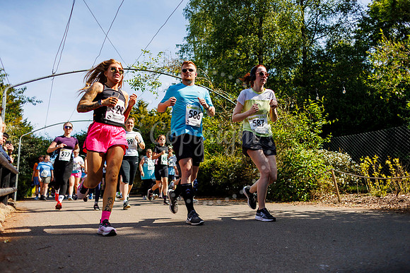 Banham Zoo 5K Run for Wildlife