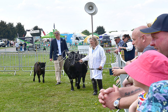 Nottingham County Show