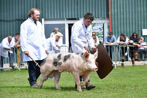 Nottingham County Show