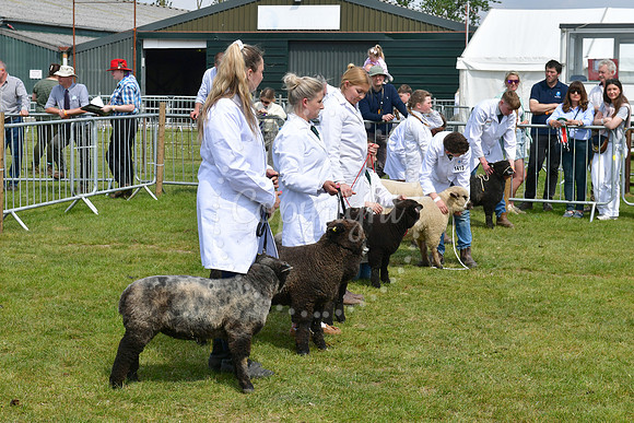 Nottingham County Show