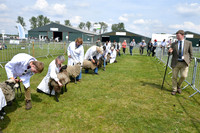 Nottingham County Show