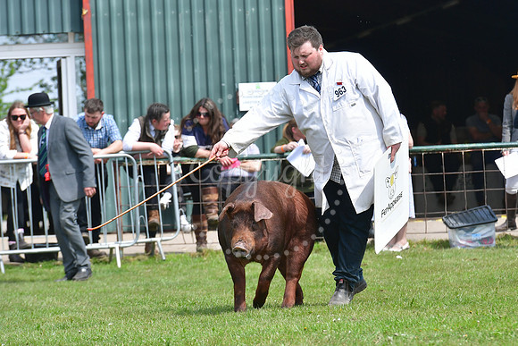 Nottingham County Show