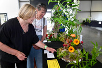 Nottingham County Show