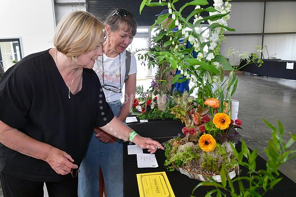 Nottingham County Show