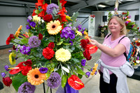 Nottingham County Show