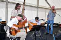 Nottingham County Show