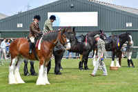 Nottingham County Show