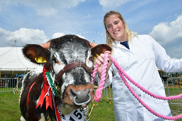 Nottingham County Show