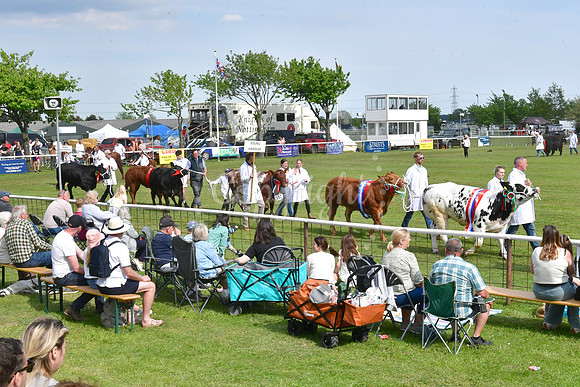 Nottingham County Show