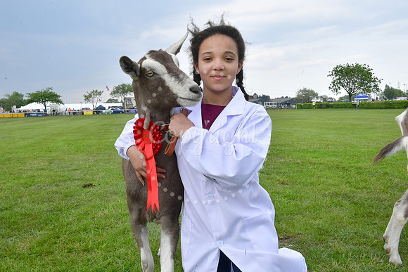 Nottingham County Show