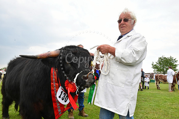 Nottingham County Show